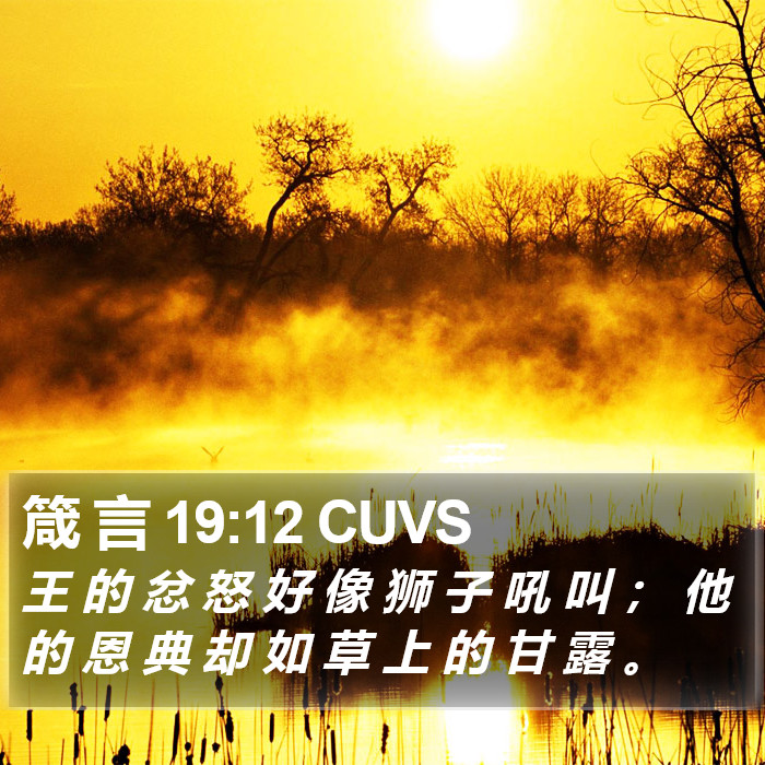 箴 言 19:12 CUVS Bible Study