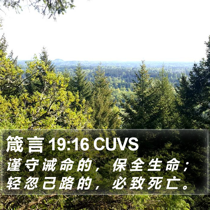 箴 言 19:16 CUVS Bible Study