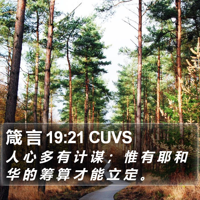箴 言 19:21 CUVS Bible Study