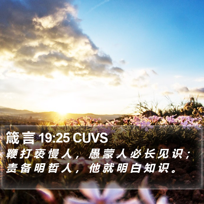 箴 言 19:25 CUVS Bible Study