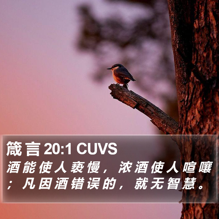 箴 言 20:1 CUVS Bible Study