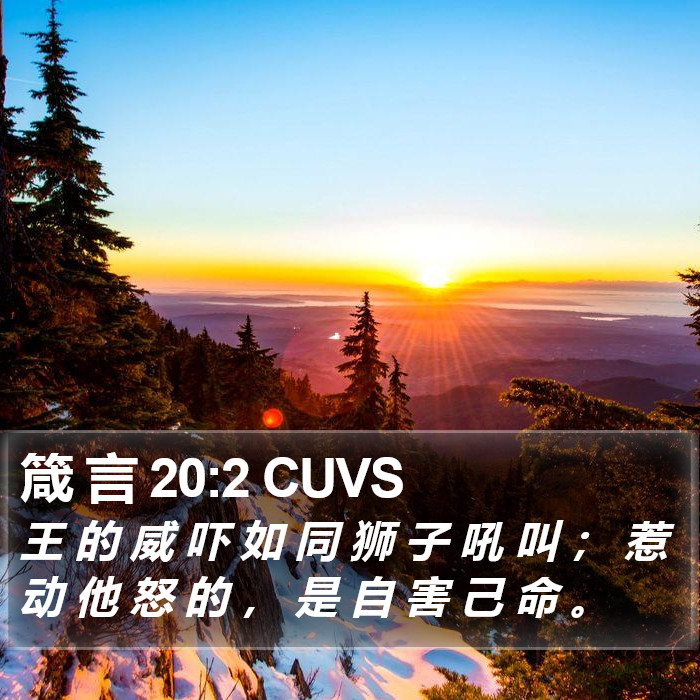箴 言 20:2 CUVS Bible Study