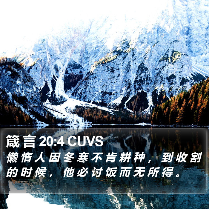 箴 言 20:4 CUVS Bible Study
