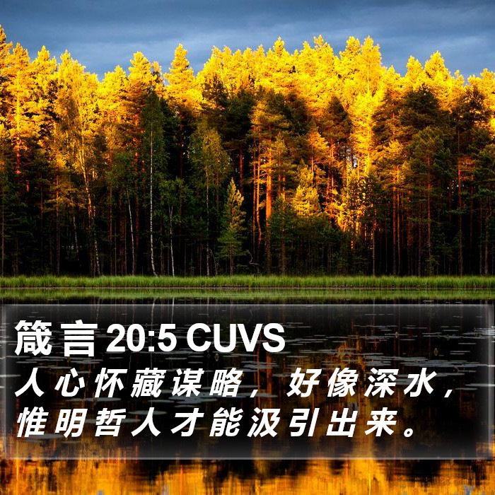 箴 言 20:5 CUVS Bible Study