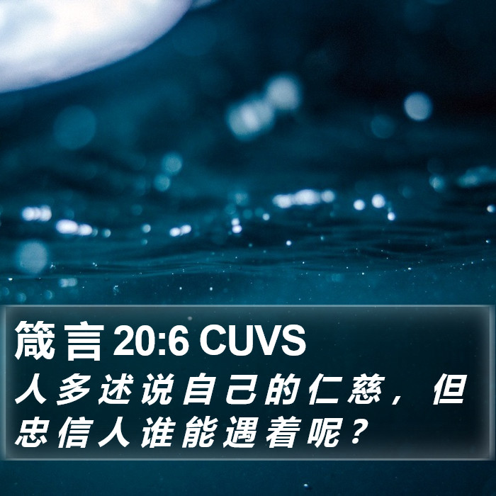 箴 言 20:6 CUVS Bible Study