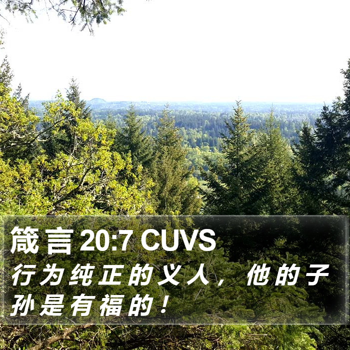 箴 言 20:7 CUVS Bible Study