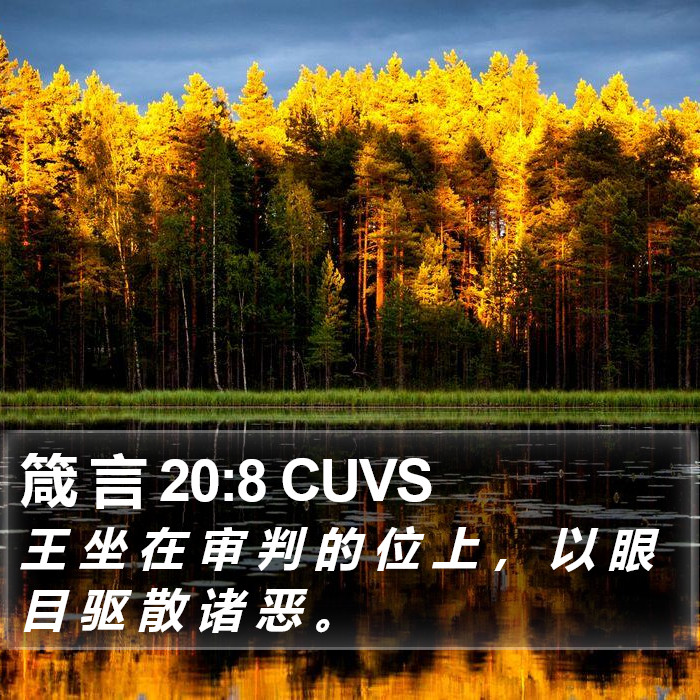 箴 言 20:8 CUVS Bible Study