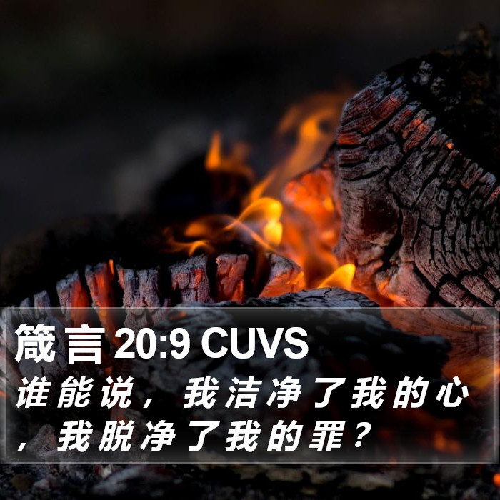 箴 言 20:9 CUVS Bible Study