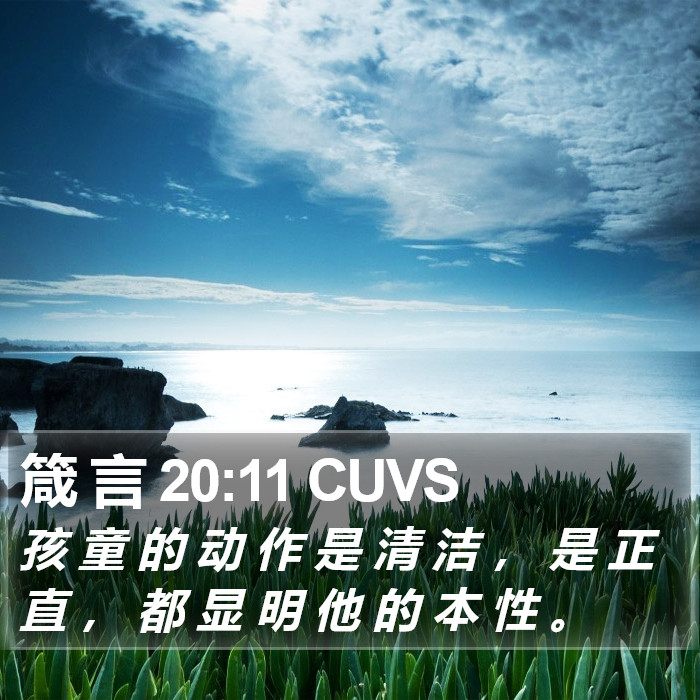 箴 言 20:11 CUVS Bible Study