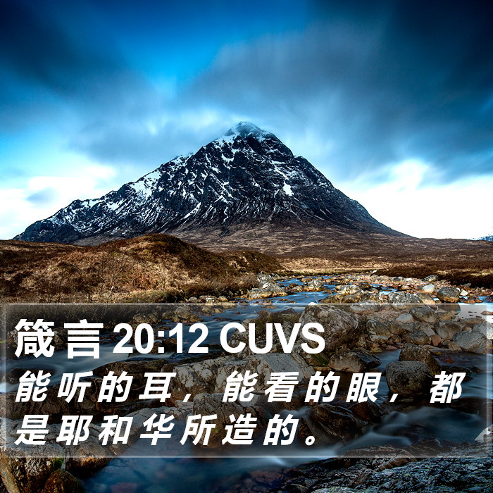 箴 言 20:12 CUVS Bible Study