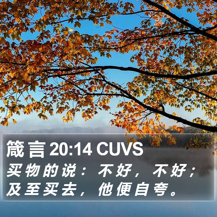 箴 言 20:14 CUVS Bible Study