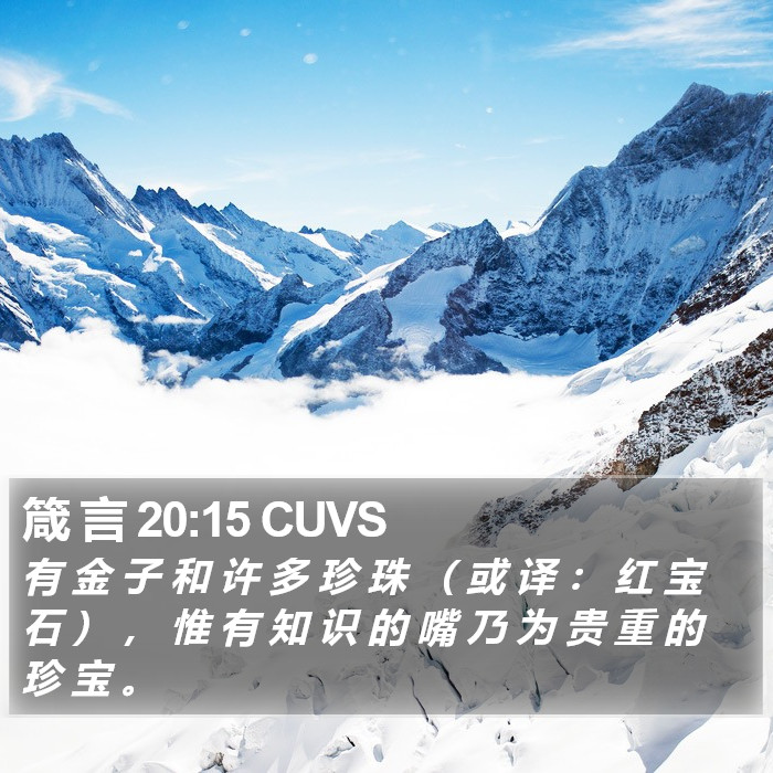 箴 言 20:15 CUVS Bible Study