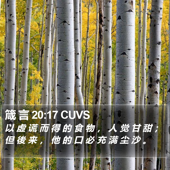 箴 言 20:17 CUVS Bible Study