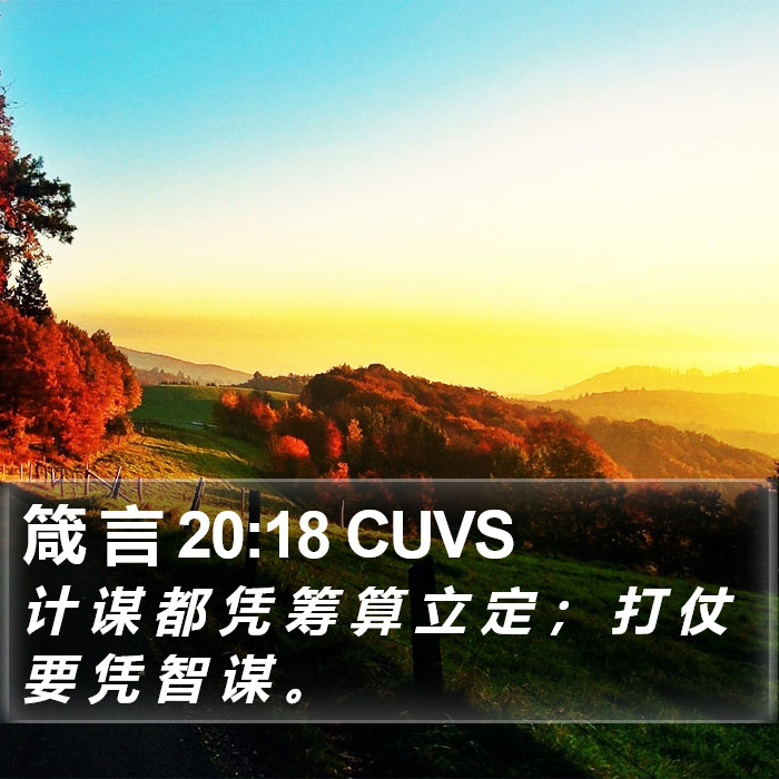 箴 言 20:18 CUVS Bible Study