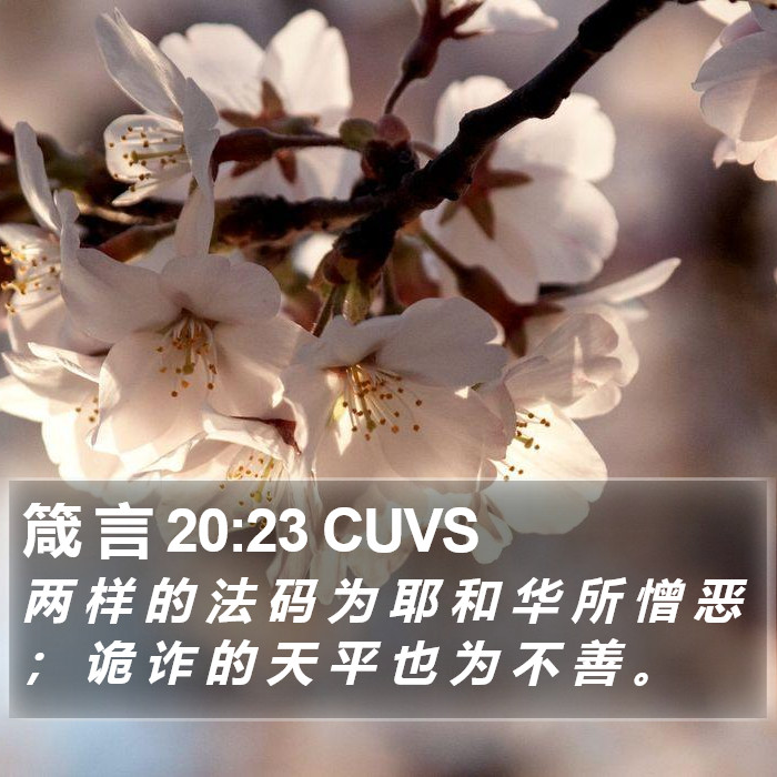 箴 言 20:23 CUVS Bible Study