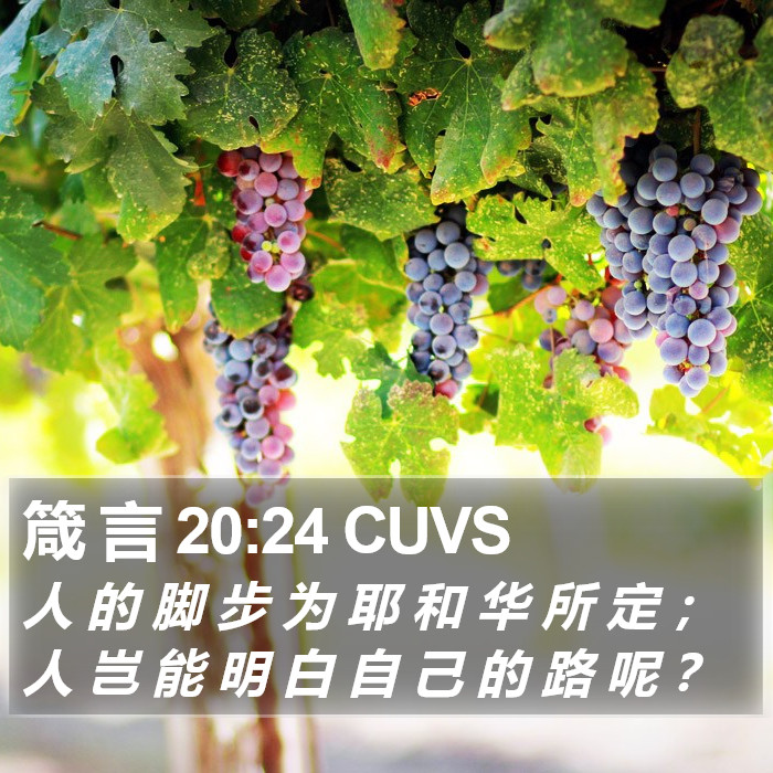箴 言 20:24 CUVS Bible Study