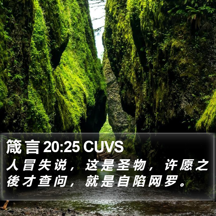 箴 言 20:25 CUVS Bible Study