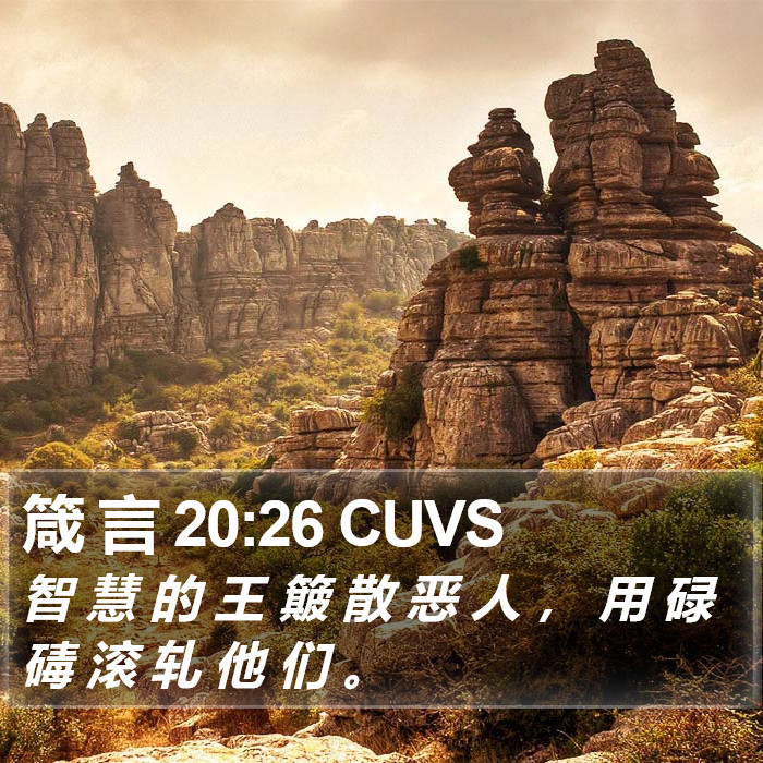 箴 言 20:26 CUVS Bible Study