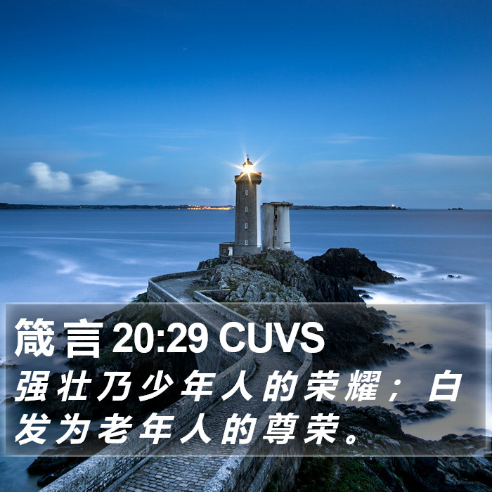 箴 言 20:29 CUVS Bible Study