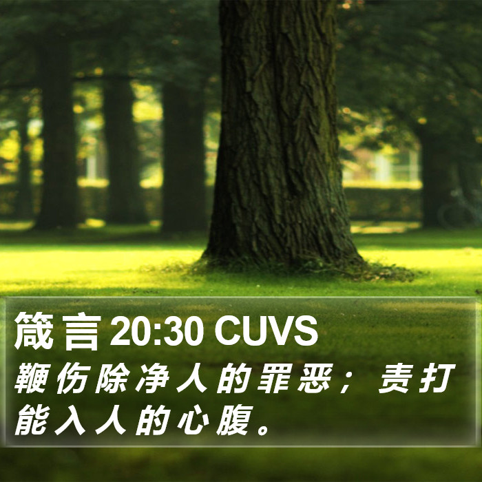 箴 言 20:30 CUVS Bible Study