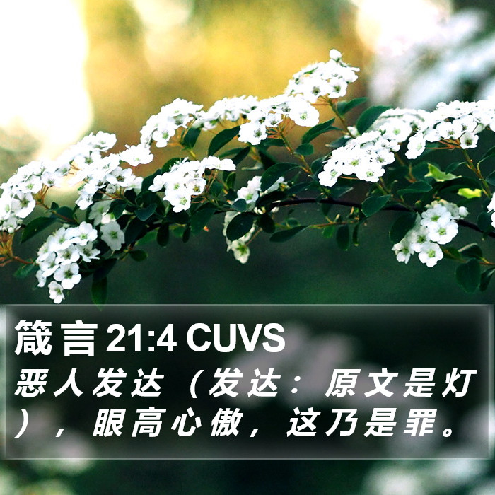 箴 言 21:4 CUVS Bible Study