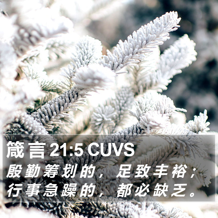 箴 言 21:5 CUVS Bible Study