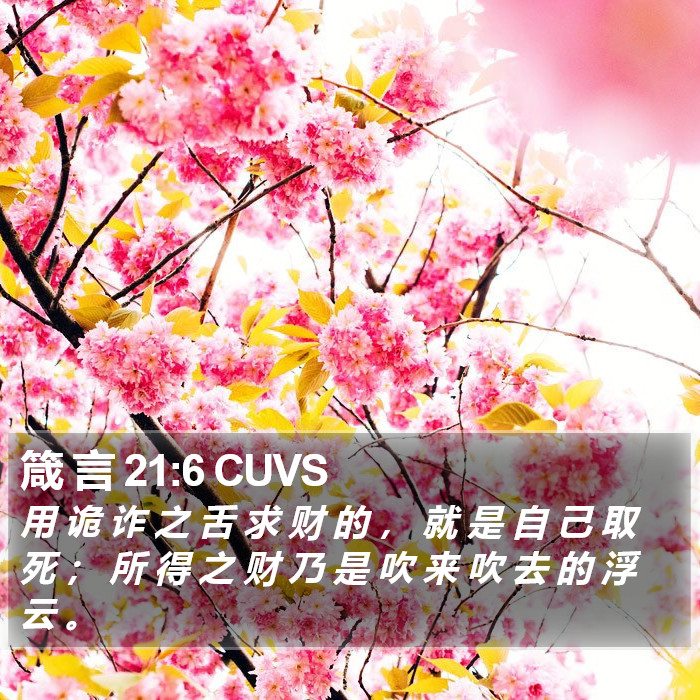 箴 言 21:6 CUVS Bible Study