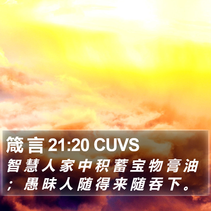 箴 言 21:20 CUVS Bible Study