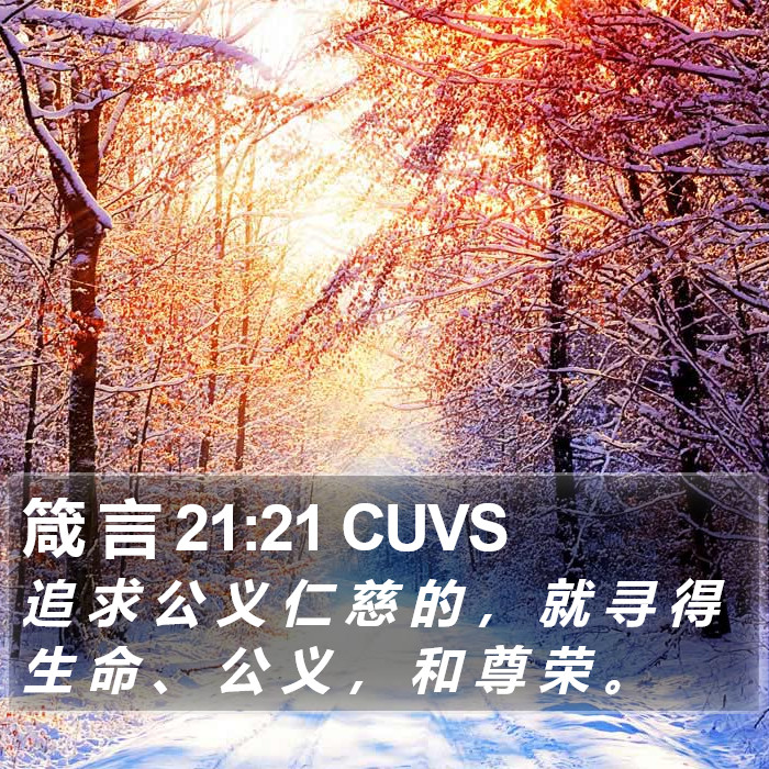 箴 言 21:21 CUVS Bible Study