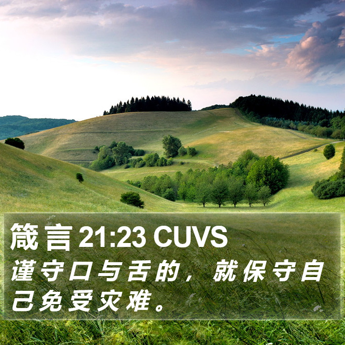 箴 言 21:23 CUVS Bible Study