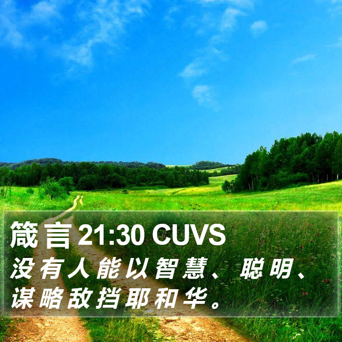 箴 言 21:30 CUVS Bible Study