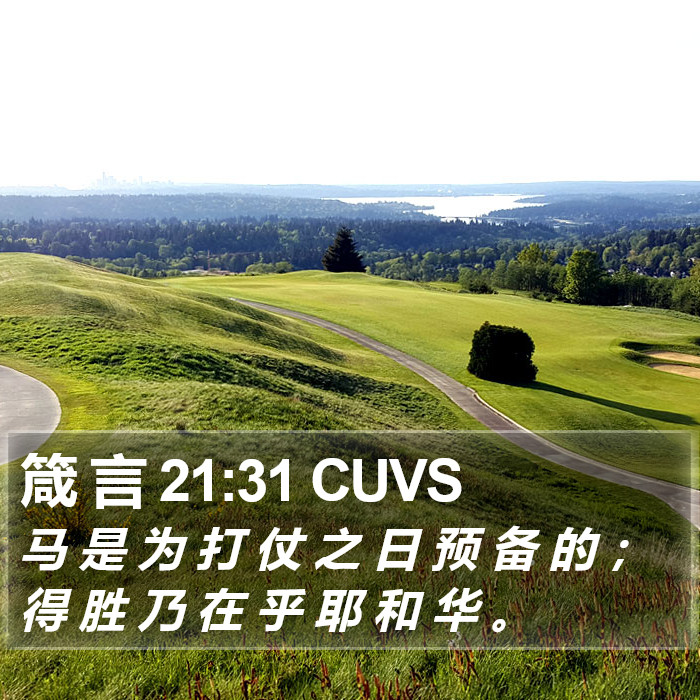 箴 言 21:31 CUVS Bible Study