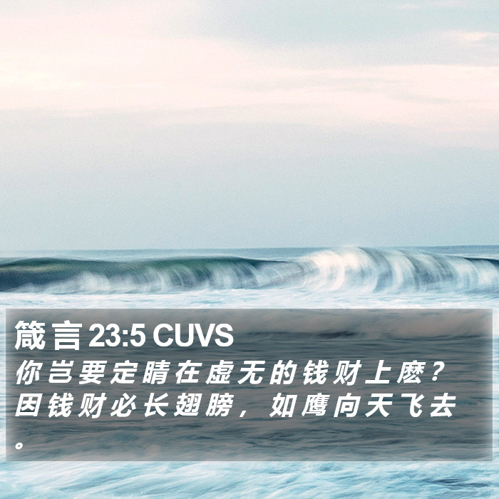 箴 言 23:5 CUVS Bible Study