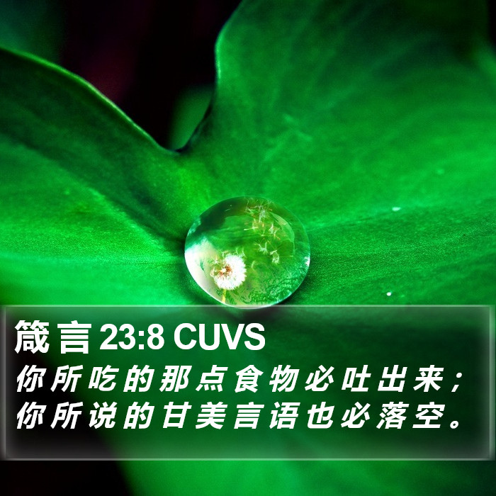 箴 言 23:8 CUVS Bible Study