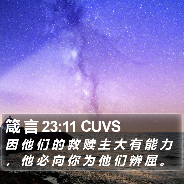 箴 言 23:11 CUVS Bible Study