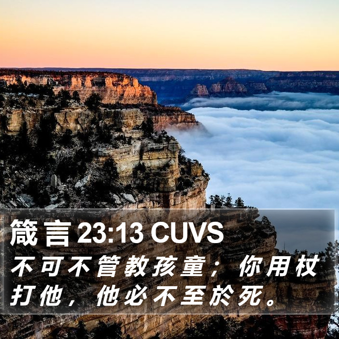 箴 言 23:13 CUVS Bible Study