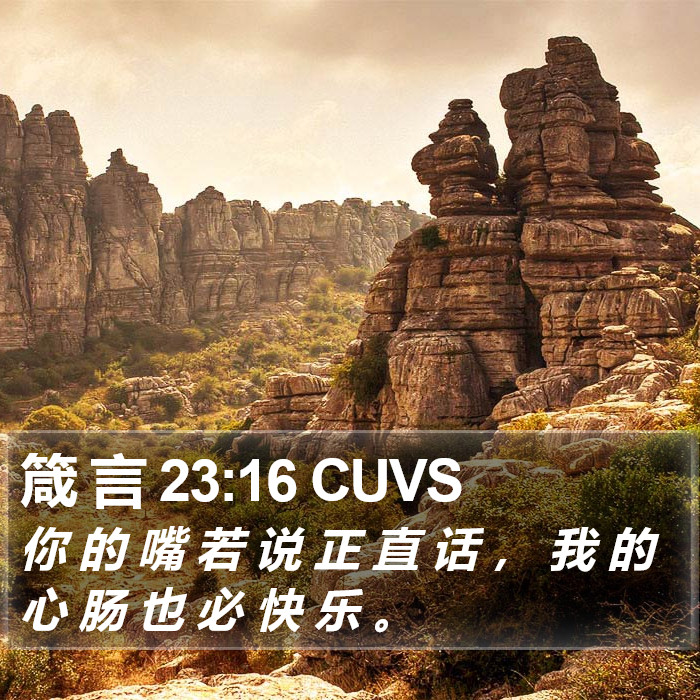 箴 言 23:16 CUVS Bible Study