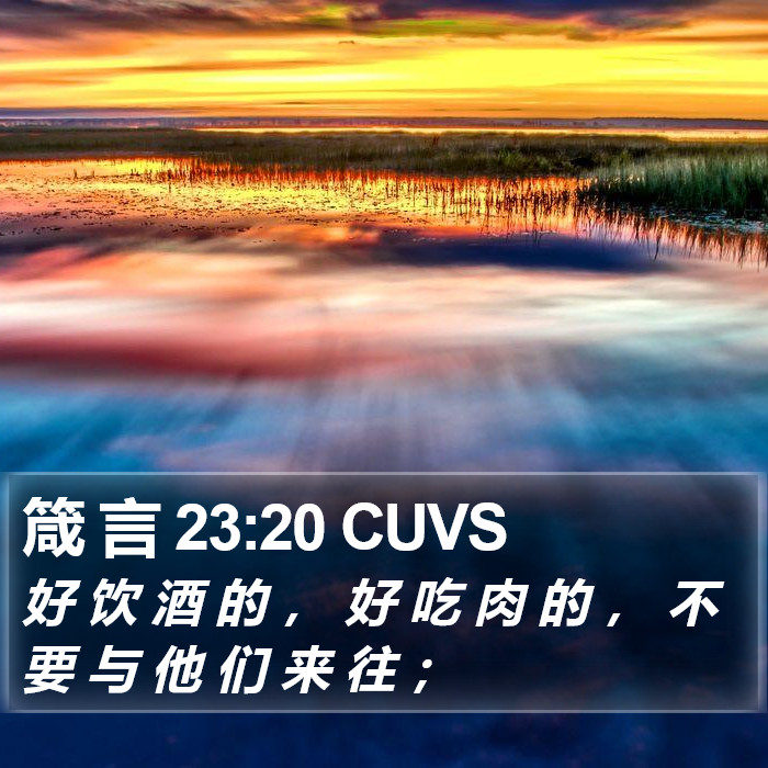箴 言 23:20 CUVS Bible Study