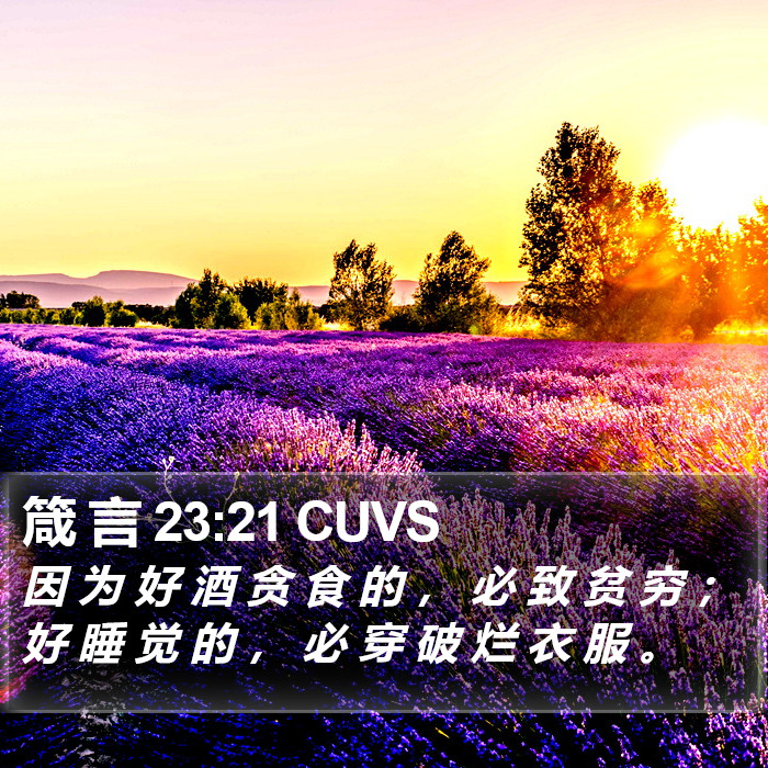 箴 言 23:21 CUVS Bible Study