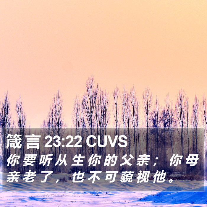 箴 言 23:22 CUVS Bible Study