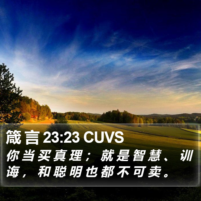 箴 言 23:23 CUVS Bible Study