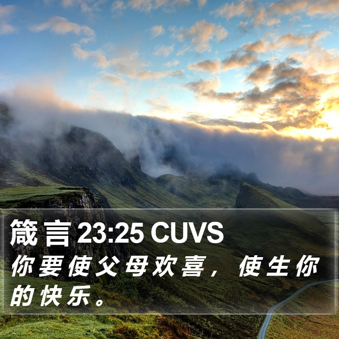 箴 言 23:25 CUVS Bible Study