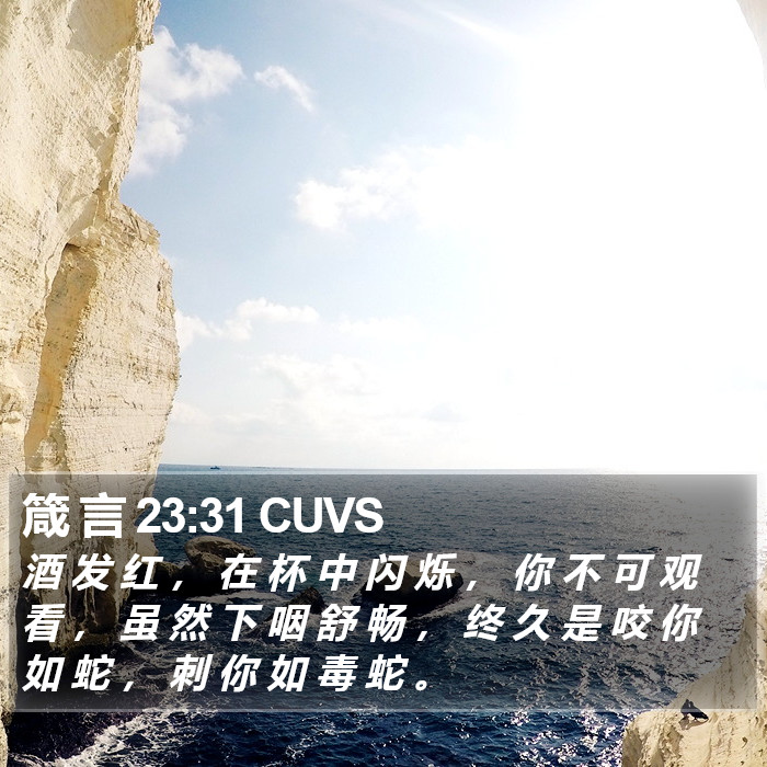 箴 言 23:31 CUVS Bible Study