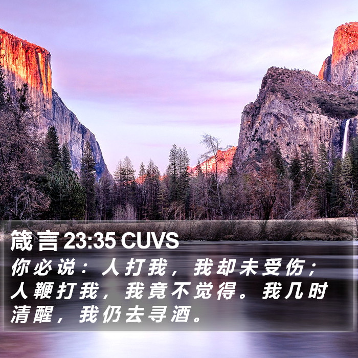 箴 言 23:35 CUVS Bible Study