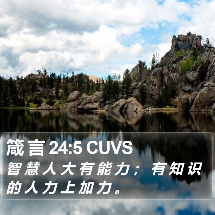 箴 言 24:5 CUVS Bible Study