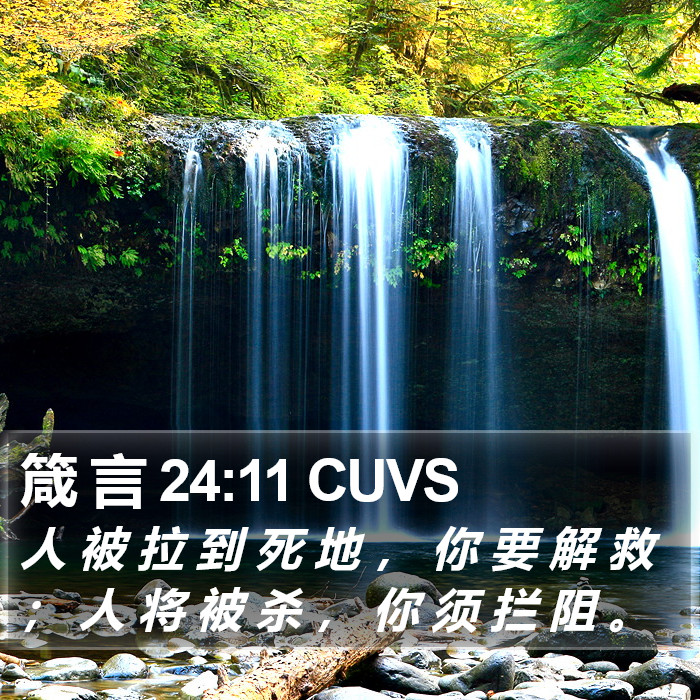 箴 言 24:11 CUVS Bible Study