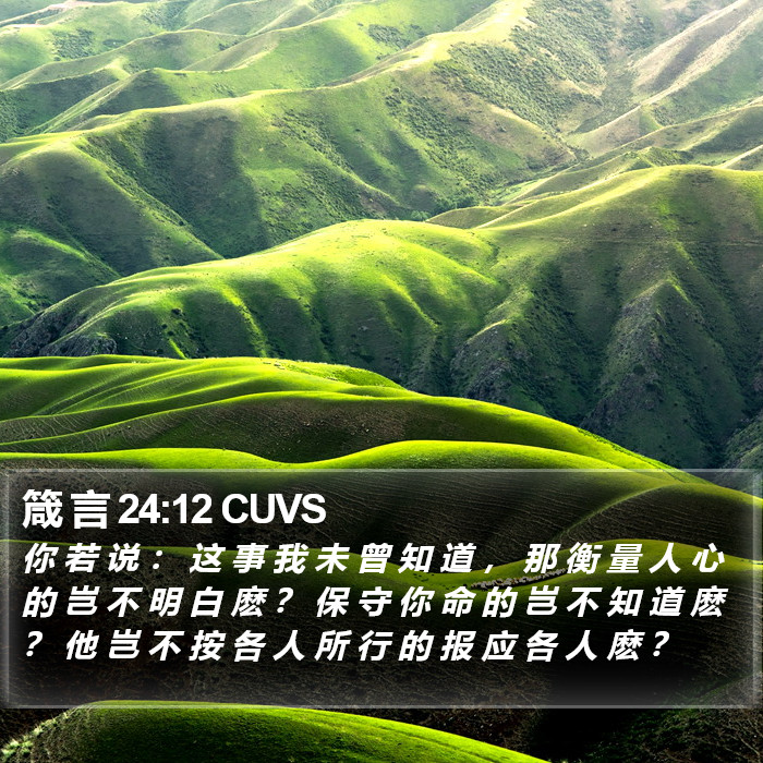 箴 言 24:12 CUVS Bible Study