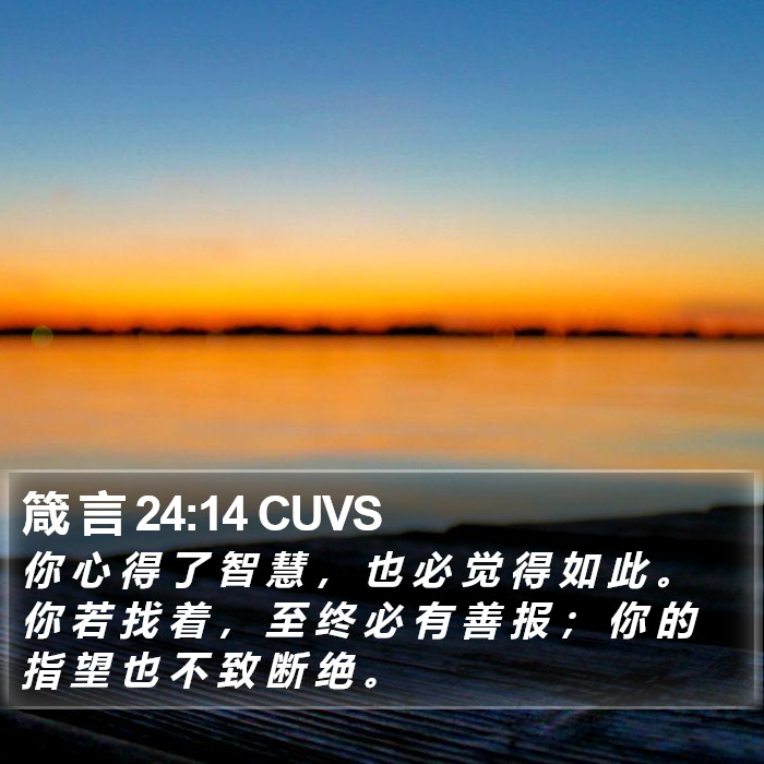 箴 言 24:14 CUVS Bible Study