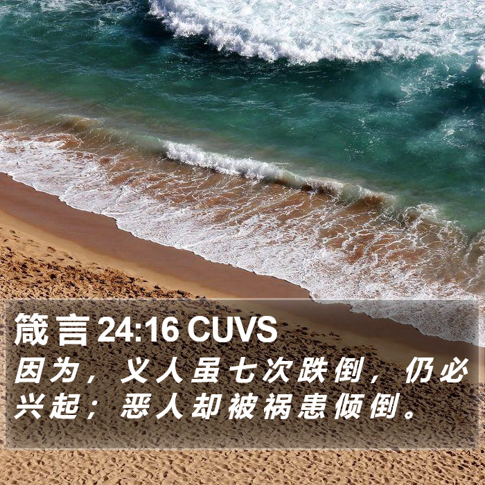 箴 言 24:16 CUVS Bible Study