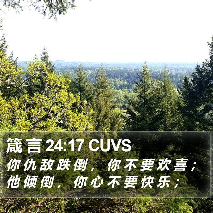 箴 言 24:17 CUVS Bible Study